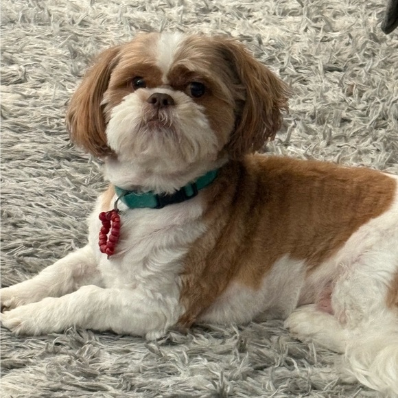daisy100119